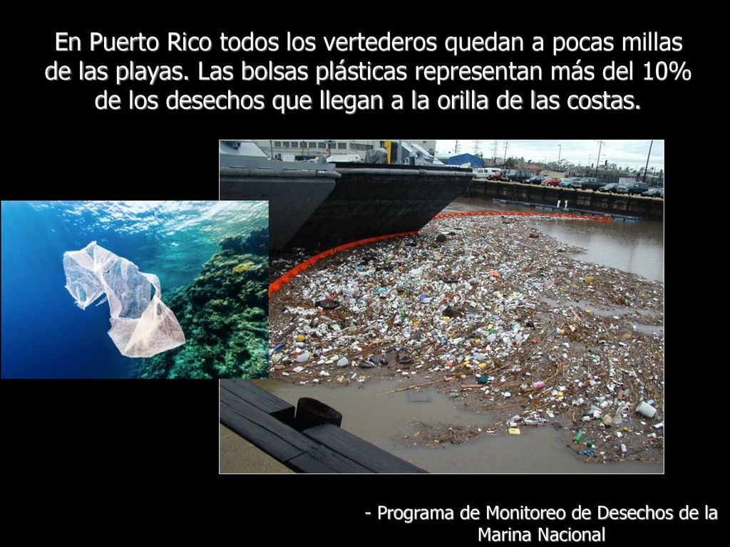 - Programa de Monitoreo de Desechos de la Marina Nacional