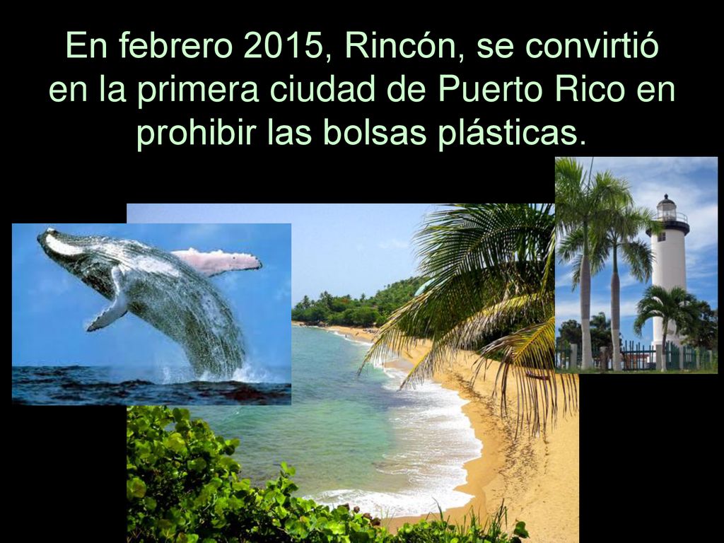 En febrero 2015, Rincón, se convirtió en la primera ciudad de Puerto Rico en prohibir las bolsas plásticas.