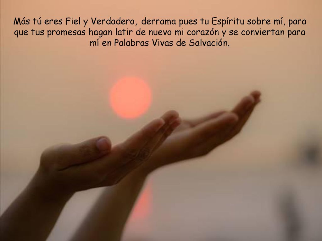 Más tú eres Fiel y Verdadero, derrama pues tu Espíritu sobre mí, para que tus promesas hagan latir de nuevo mi corazón y se conviertan para mí en Palabras Vivas de Salvación.