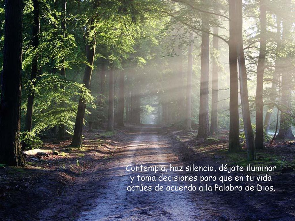 Contempla, haz silencio, déjate iluminar y toma decisiones para que en tu vida actúes de acuerdo a la Palabra de Dios.