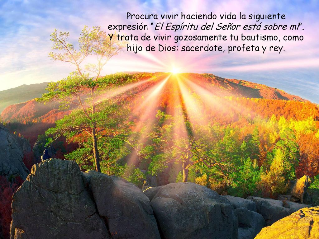 Procura vivir haciendo vida la siguiente expresión El Espíritu del Señor está sobre mí .