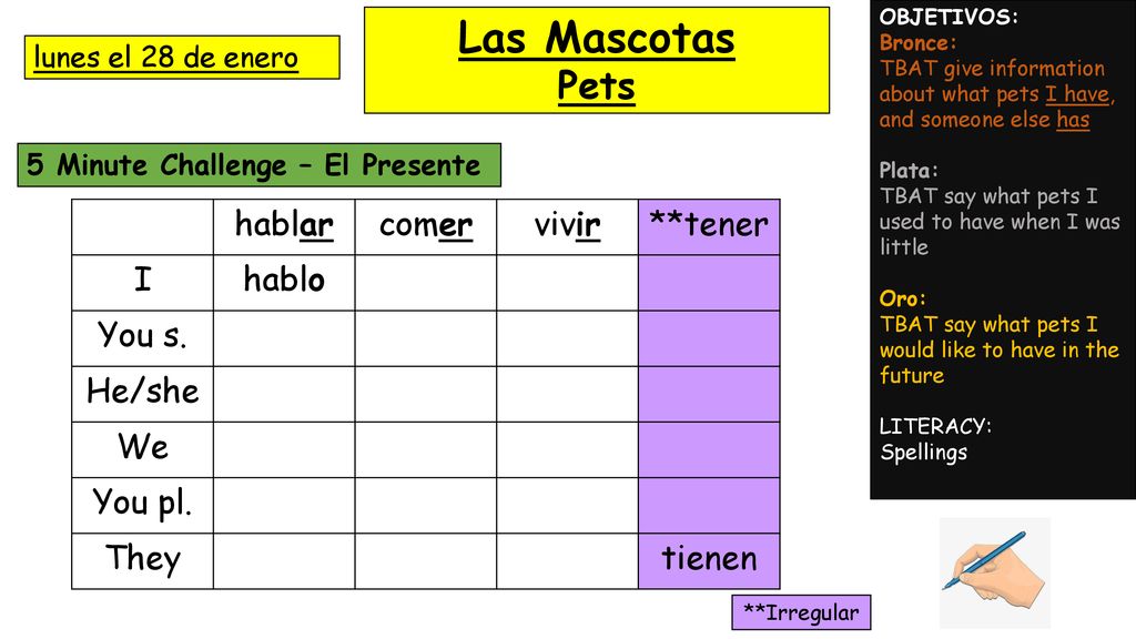 Las Mascotas Pets hablar comer vivir **tener I hablo You s. He/she We