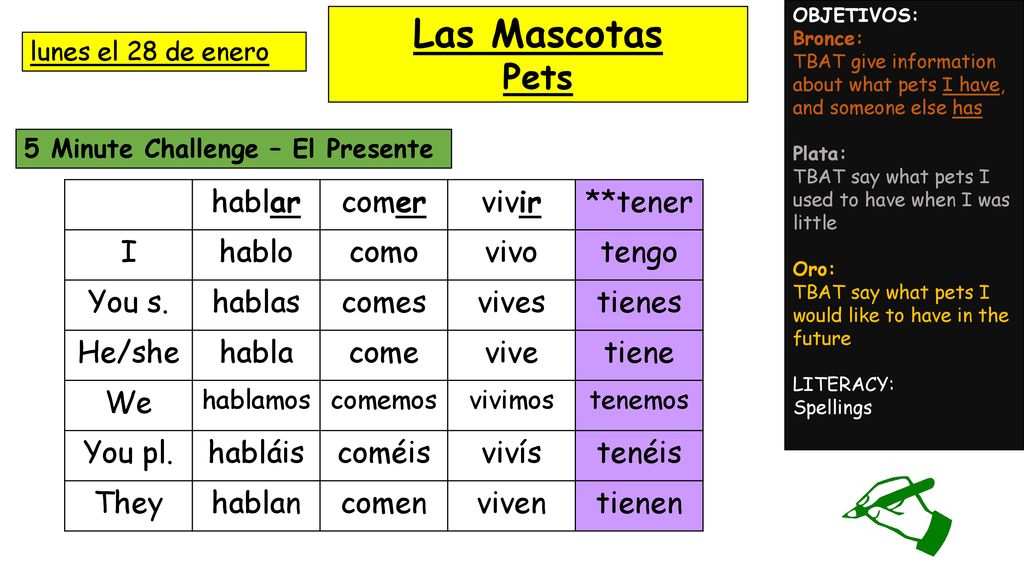 Las Mascotas Pets hablar comer vivir **tener I hablo como vivo tengo