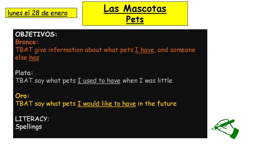 Las Mascotas Pets lunes el 28 de enero OBJETIVOS: Bronce: