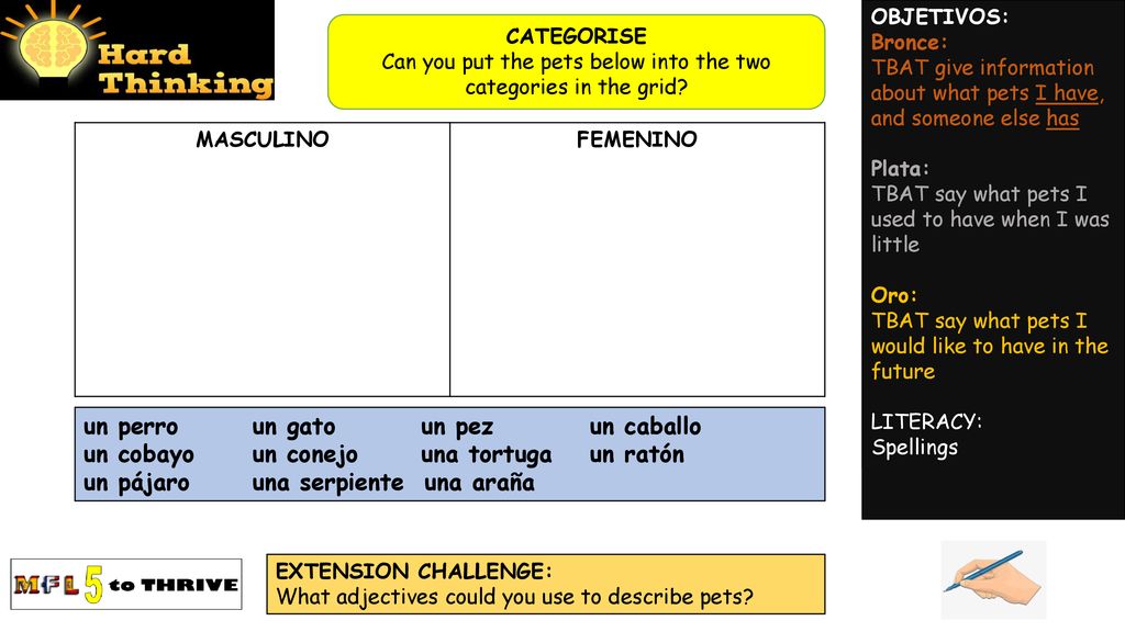 Can you put the pets below into the two categories in the grid