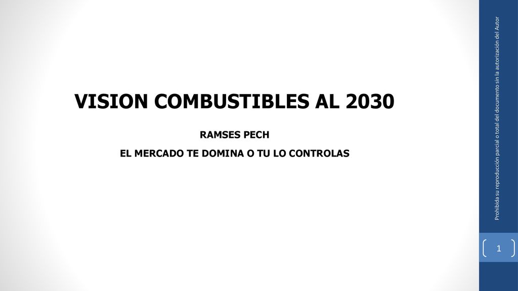 VISION COMBUSTIBLES AL 2030 EL MERCADO TE DOMINA O TU LO CONTROLAS