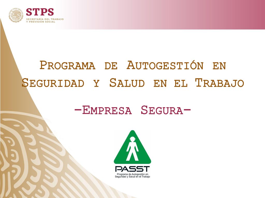 PROGRAMA DE AUTOGESTIÓN EN SEGURIDAD Y SALUD EN EL TRABAJO