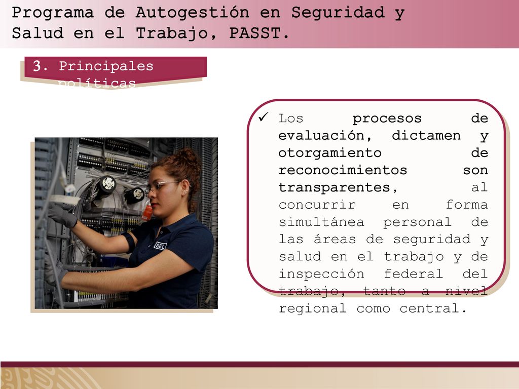 Programa de Autogestión en Seguridad y Salud en el Trabajo, PASST.