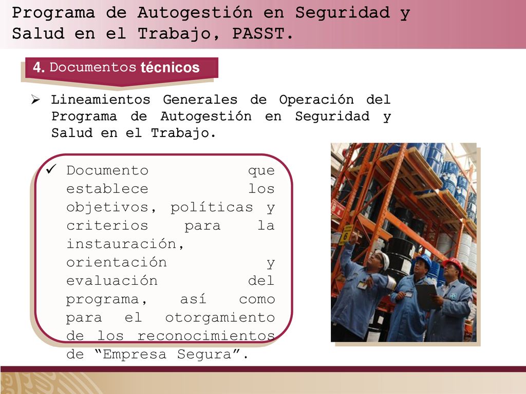 Programa de Autogestión en Seguridad y Salud en el Trabajo, PASST.