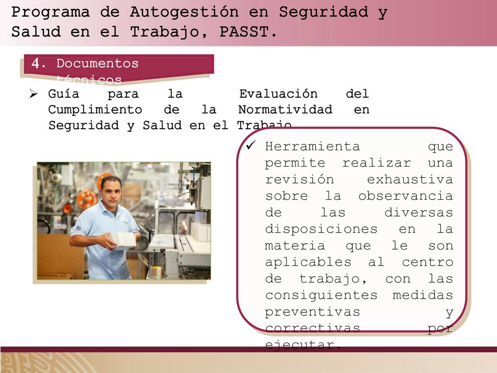 Programa de Autogestión en Seguridad y Salud en el Trabajo, PASST.