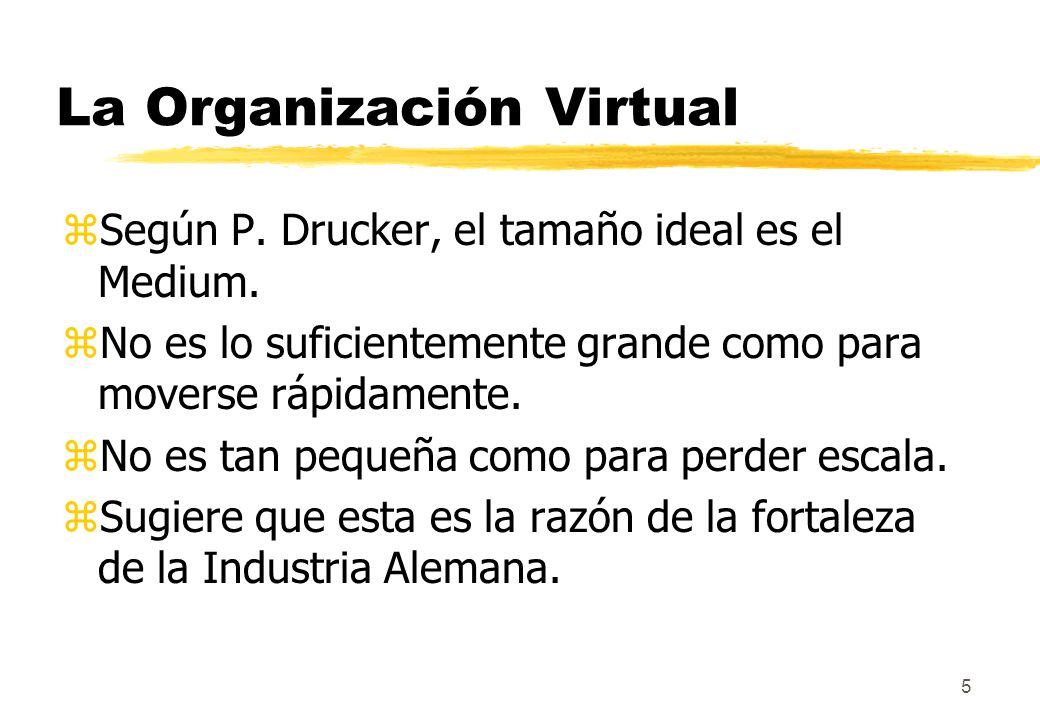 La Organización Virtual