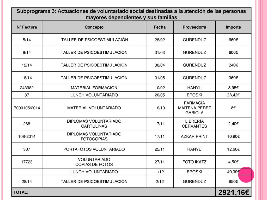 Subprograma 3: Actuaciones de voluntariado social destinadas a la atención de las personas mayores dependientes y sus familias