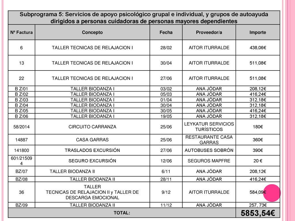 Subprograma 5: Servicios de apoyo psicológico grupal e individual, y grupos de autoayuda dirigidos a personas cuidadoras de personas mayores dependientes