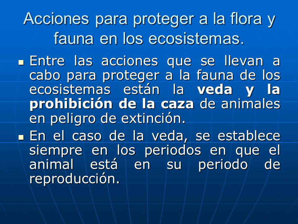 Acciones para proteger a la flora y fauna en los ecosistemas.
