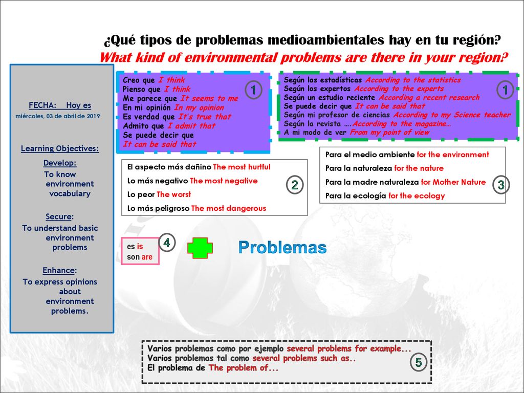 ¿Qué tipos de problemas medioambientales hay en tu región