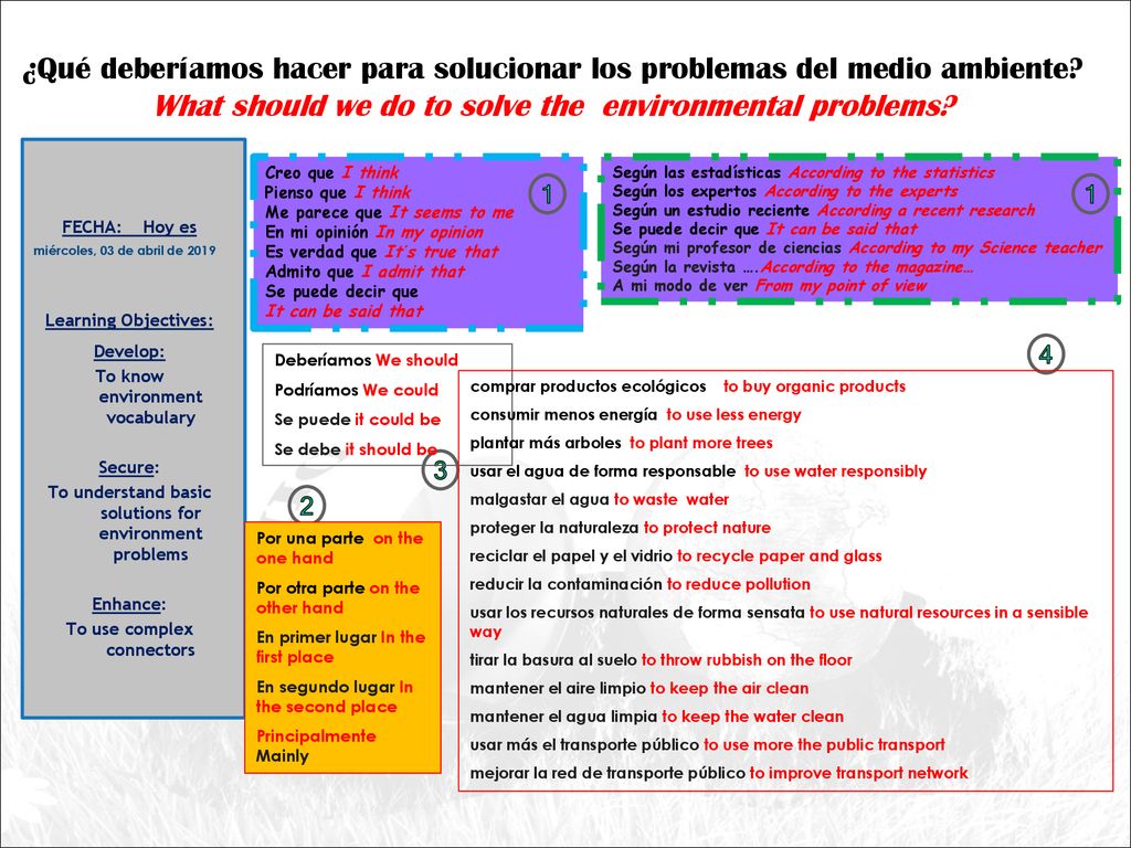 ¿Qué deberíamos hacer para solucionar los problemas del medio ambiente