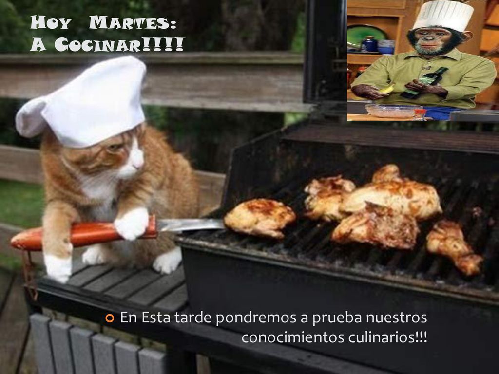 Hoy Martes: A Cocinar!!!! En Esta tarde pondremos a prueba nuestros conocimientos culinarios!!!