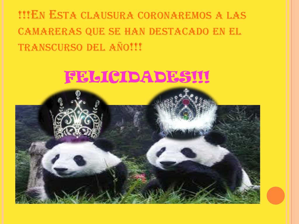 !!!En Esta clausura coronaremos a las camareras que se han destacado en el transcurso del año!!!