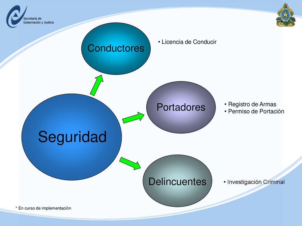 Seguridad Conductores Portadores Delincuentes Licencia de Conducir
