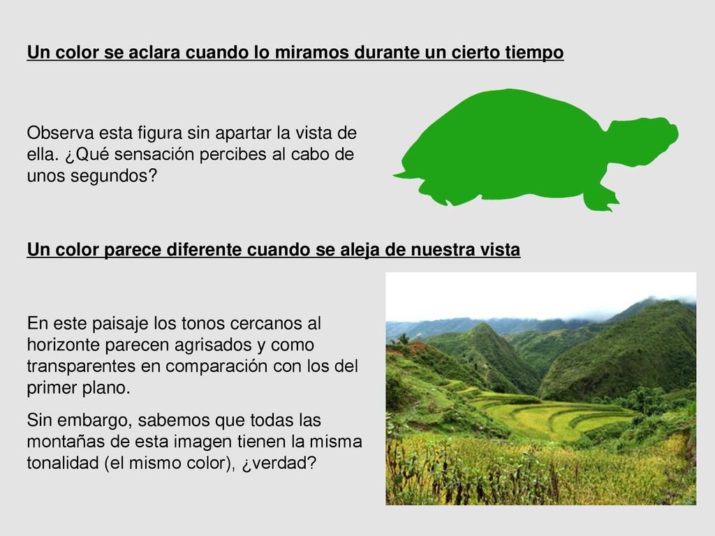 Un color se aclara cuando lo miramos durante un cierto tiempo