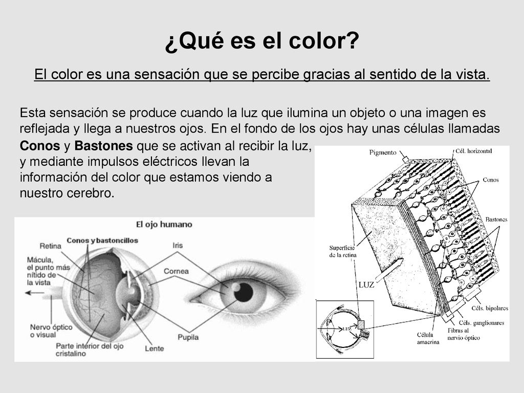 ¿Qué es el color El color es una sensación que se percibe gracias al sentido de la vista.