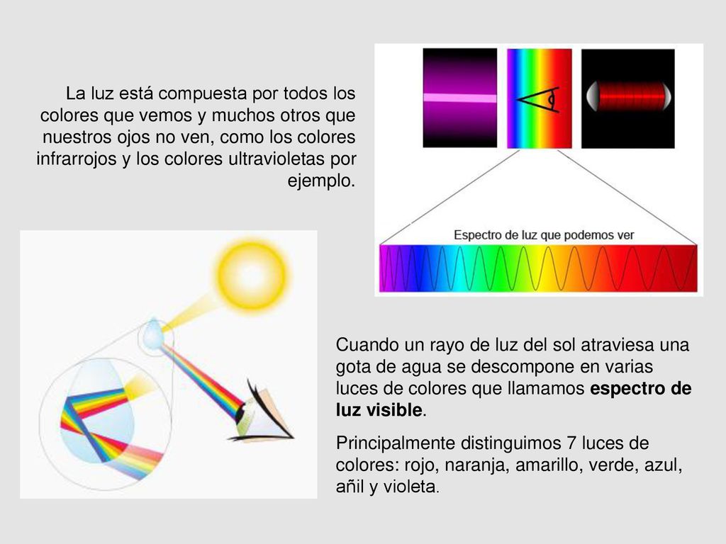La luz está compuesta por todos los colores que vemos y muchos otros que nuestros ojos no ven, como los colores infrarrojos y los colores ultravioletas por ejemplo.