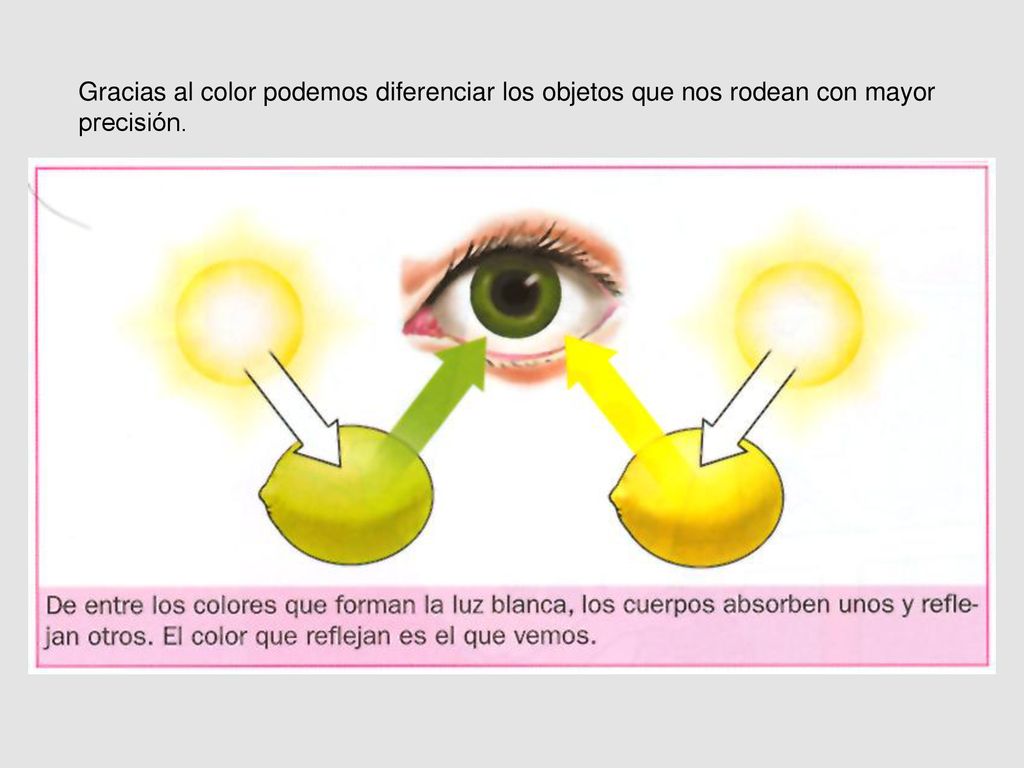 Gracias al color podemos diferenciar los objetos que nos rodean con mayor precisión.