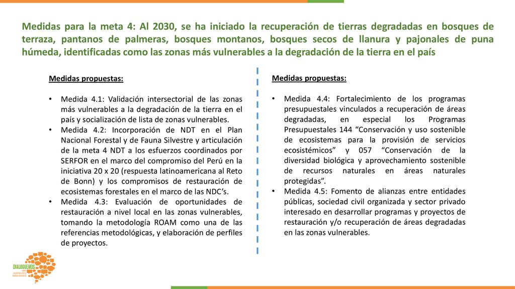 Medidas para la meta 4: Al 2030, se ha iniciado la recuperación de tierras degradadas en bosques de terraza, pantanos de palmeras, bosques montanos, bosques secos de llanura y pajonales de puna húmeda, identificadas como las zonas más vulnerables a la degradación de la tierra en el país