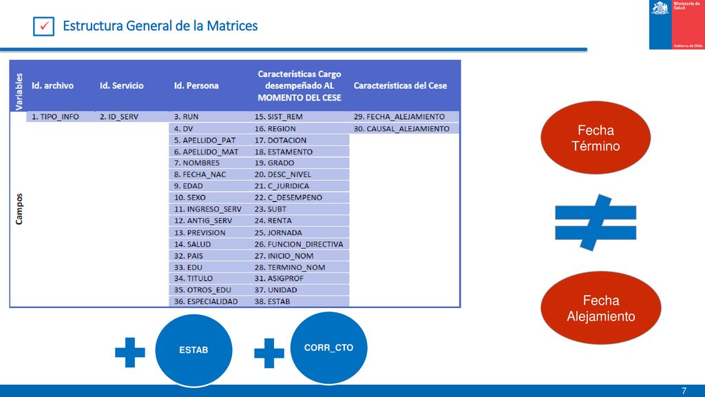 Estructura General de la Matrices