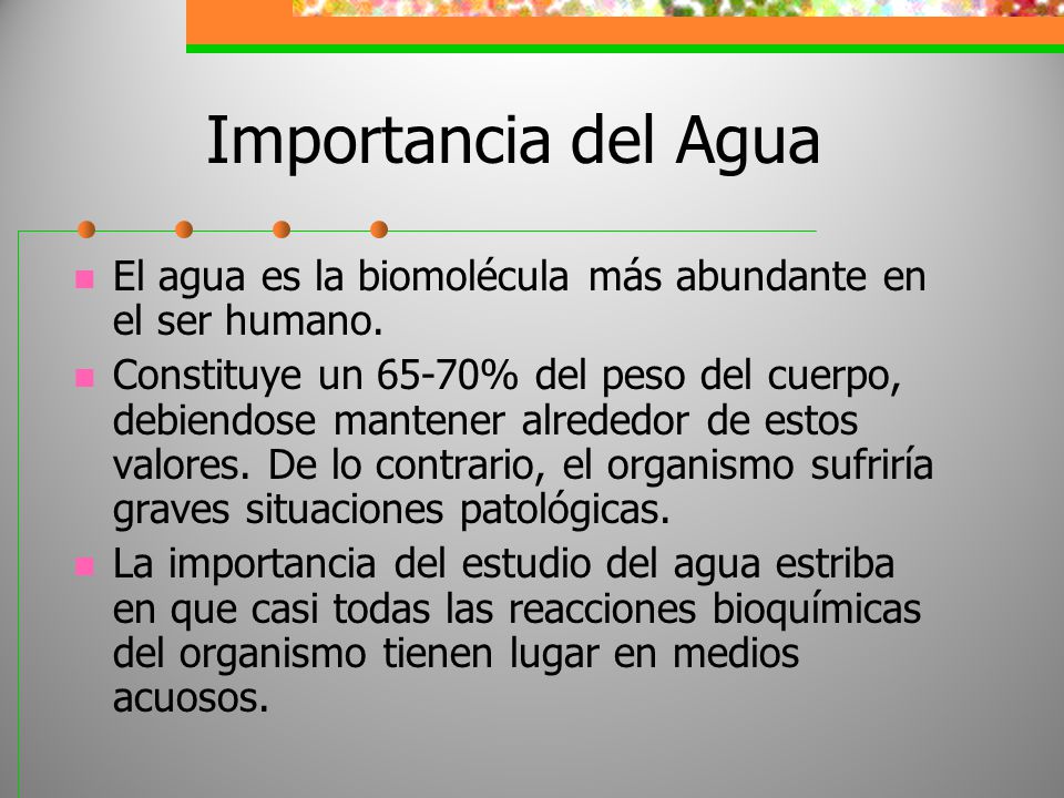 Importancia del Agua El agua es la biomolécula más abundante en el ser humano.