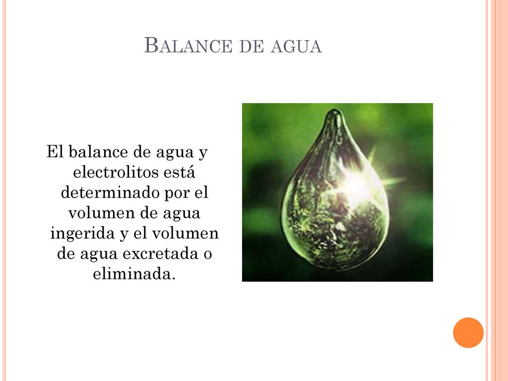 Balance de agua El balance de agua y electrolitos está determinado por el volumen de agua ingerida y el volumen de agua excretada o eliminada.