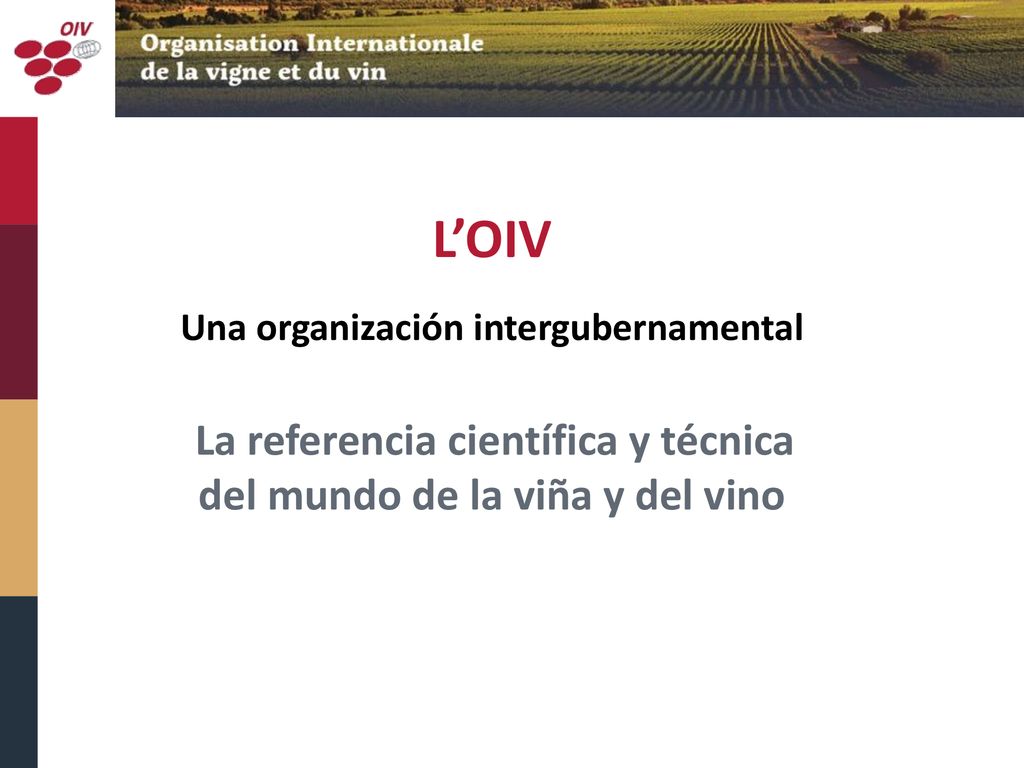 Una organización intergubernamental del mundo de la viña y del vino