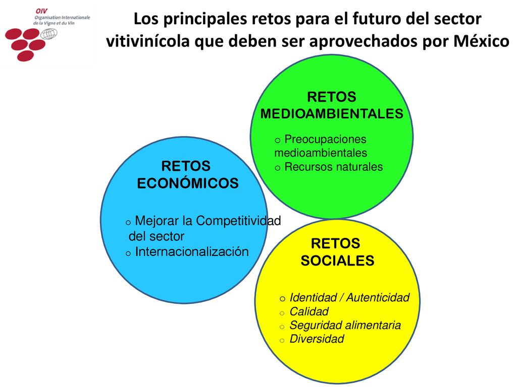 Los principales retos para el futuro del sector vitivinícola que deben ser aprovechados por México