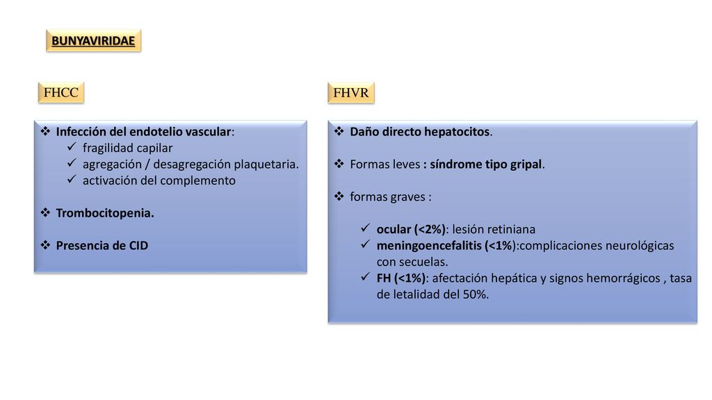 BUNYAVIRIDAE FHCC. FHVR. Infección del endotelio vascular: fragilidad capilar. agregación / desagregación plaquetaria.