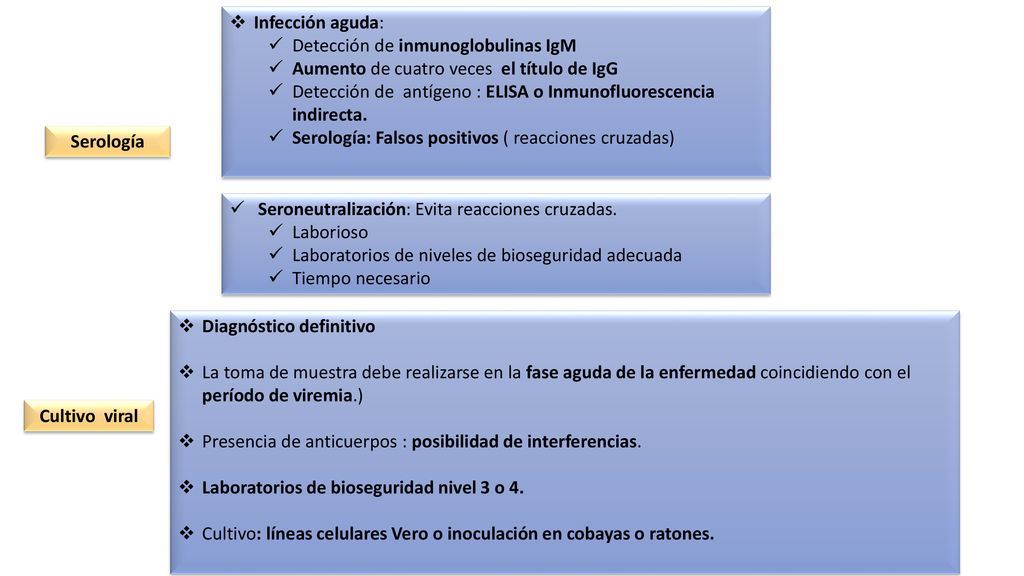 Infección aguda: Detección de inmunoglobulinas IgM. Aumento de cuatro veces el título de IgG.