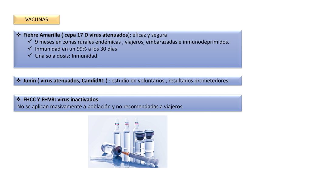 VACUNAS Fiebre Amarilla ( cepa 17 D virus atenuados): eficaz y segura.