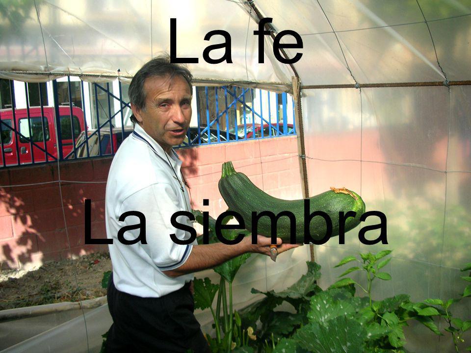 La fe La siembra