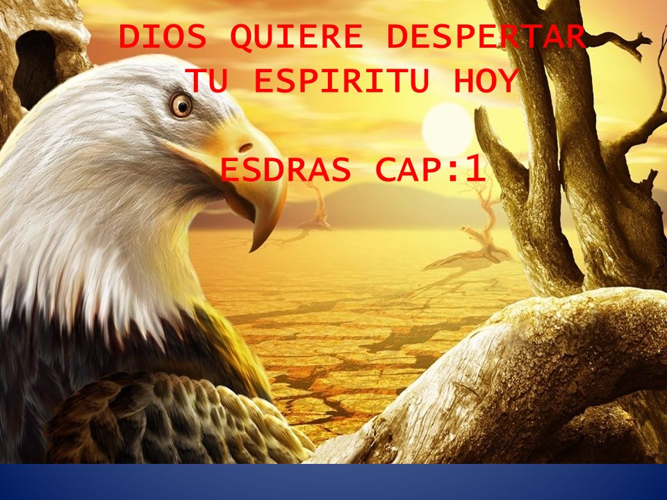 DIOS QUIERE DESPERTAR TU ESPIRITU HOY ESDRAS CAP:1