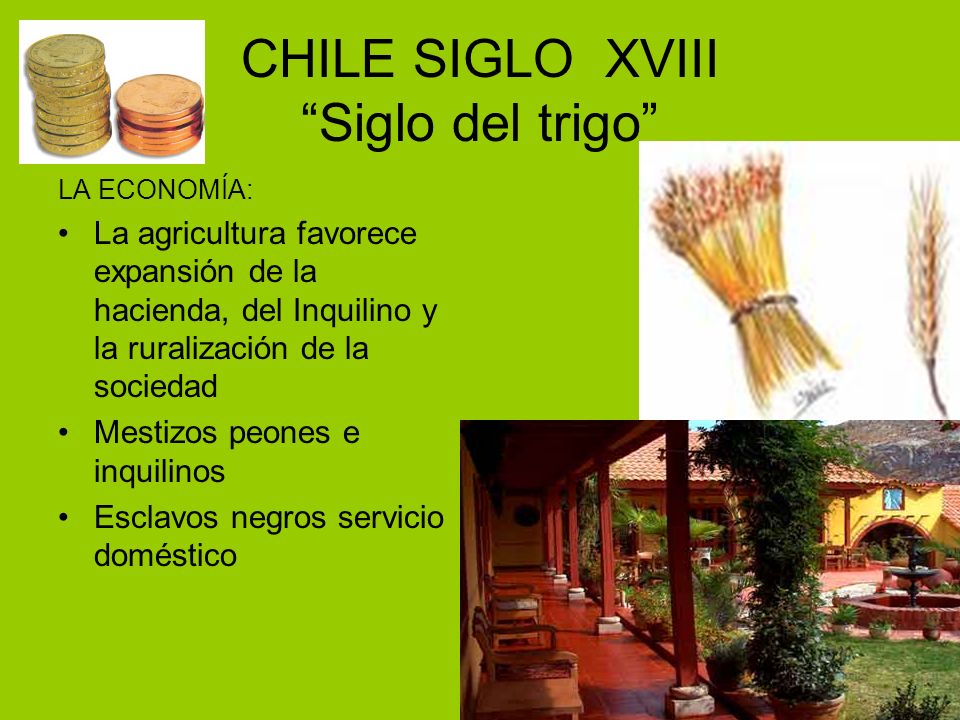 CHILE SIGLO XVIII Siglo del trigo