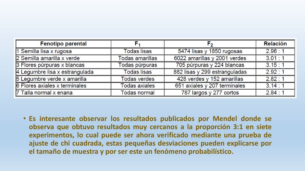Es interesante observar los resultados publicados por Mendel donde se observa que obtuvo resultados muy cercanos a la proporción 3:1 en siete experimentos, lo cual puede ser ahora verificado mediante una prueba de ajuste de chi cuadrada, estas pequeñas desviaciones pueden explicarse por el tamaño de muestra y por ser este un fenómeno probabilístico.