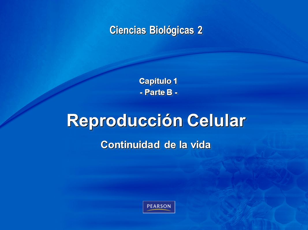 Reproducción Celular Continuidad de la vida
