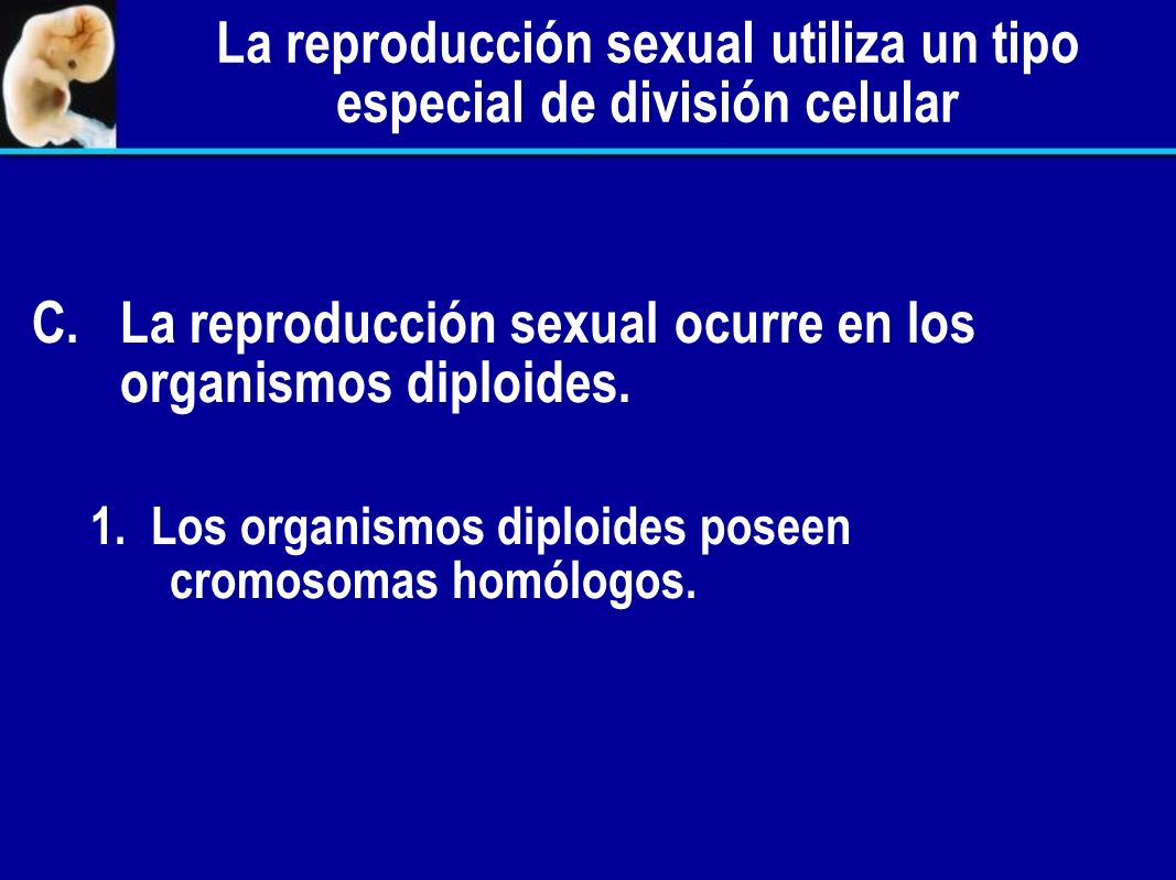 La reproducción sexual utiliza un tipo especial de división celular