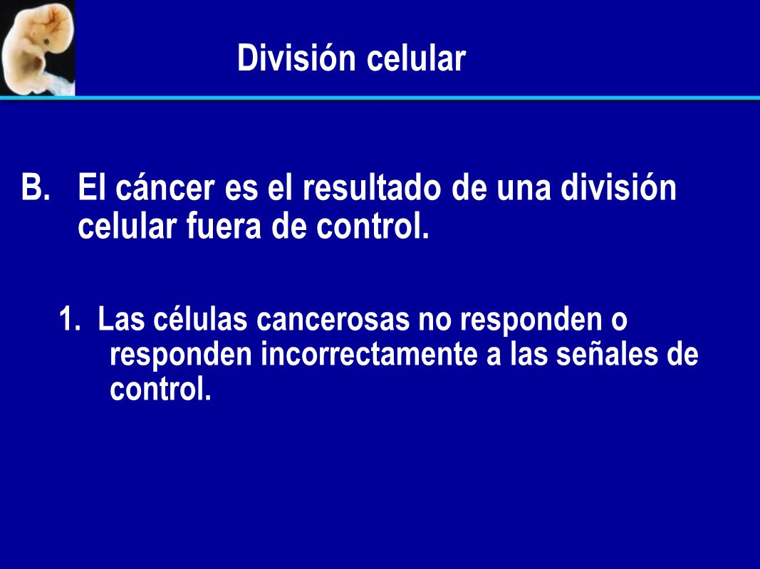 El cáncer es el resultado de una división celular fuera de control.