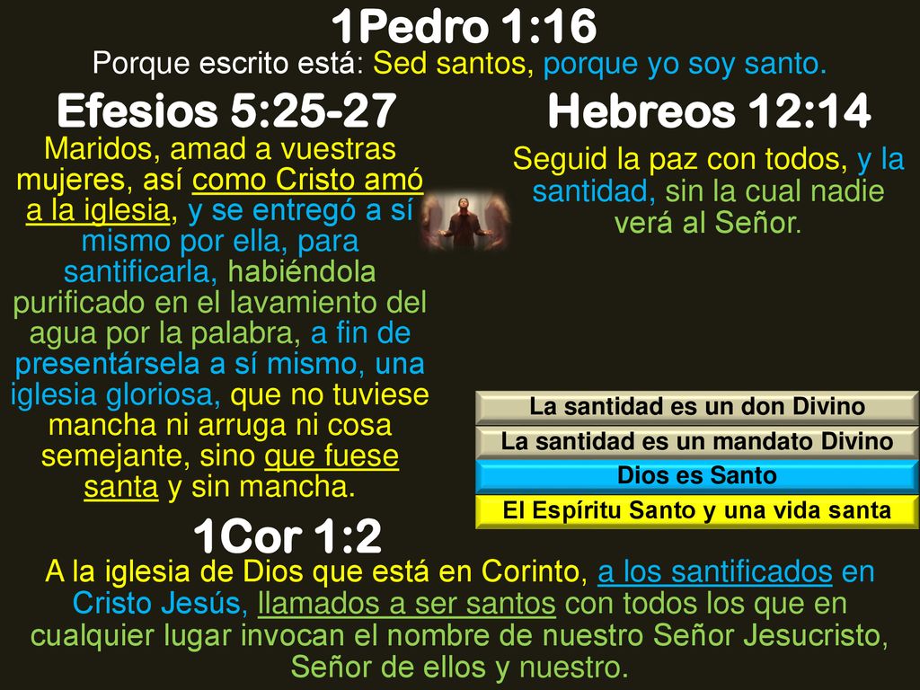 1Pedro 1:16 Efesios 5:25-27 Hebreos 12:14 1Cor 1:2