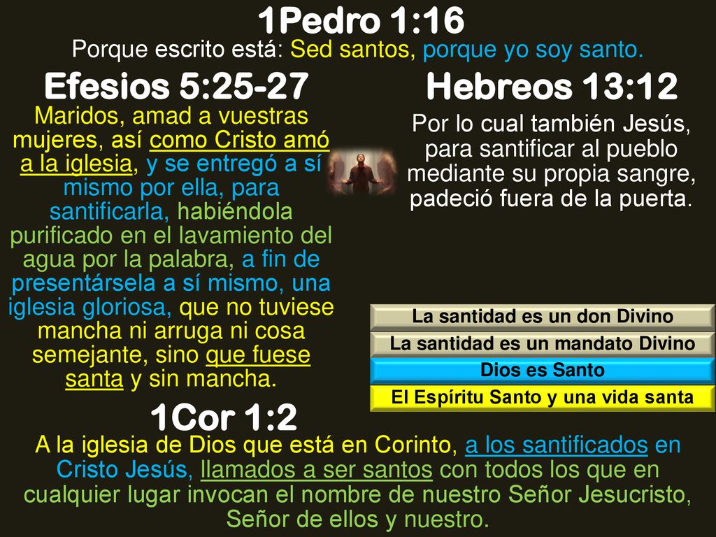 1Pedro 1:16 Efesios 5:25-27 Hebreos 13:12 1Cor 1:2