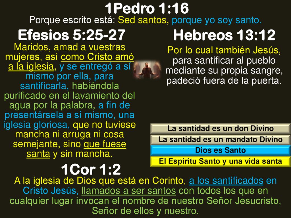 1Pedro 1:16 Efesios 5:25-27 Hebreos 13:12 1Cor 1:2