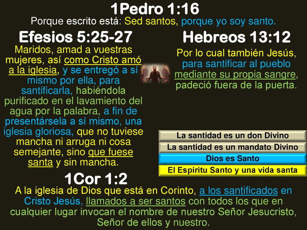 1Pedro 1:16 Efesios 5:25-27 Hebreos 13:12 1Cor 1:2