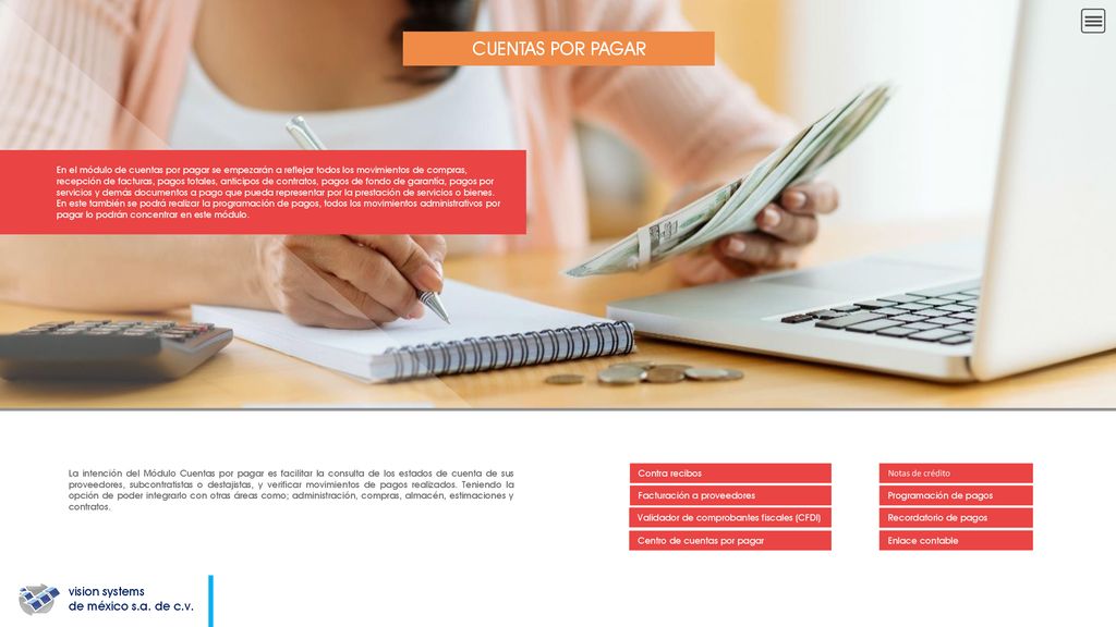CUENTAS POR PAGAR vision systems de méxico s.a. de c.v.