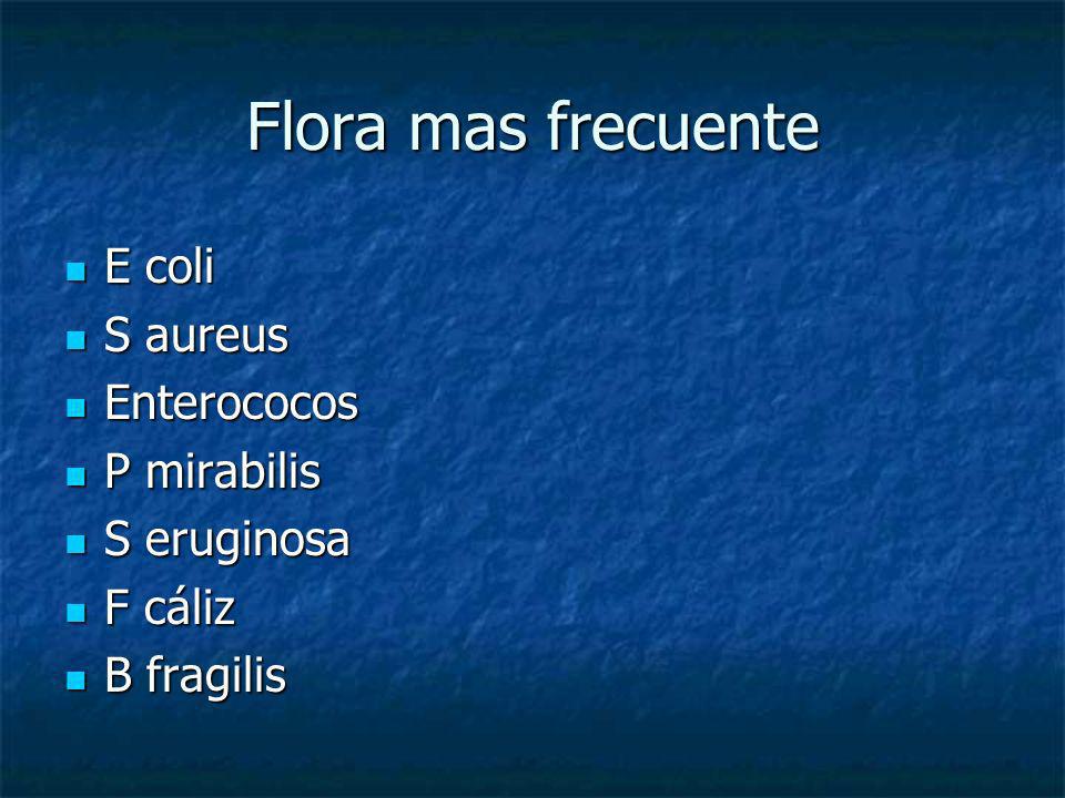 Flora mas frecuente E coli S aureus Enterococos P mirabilis