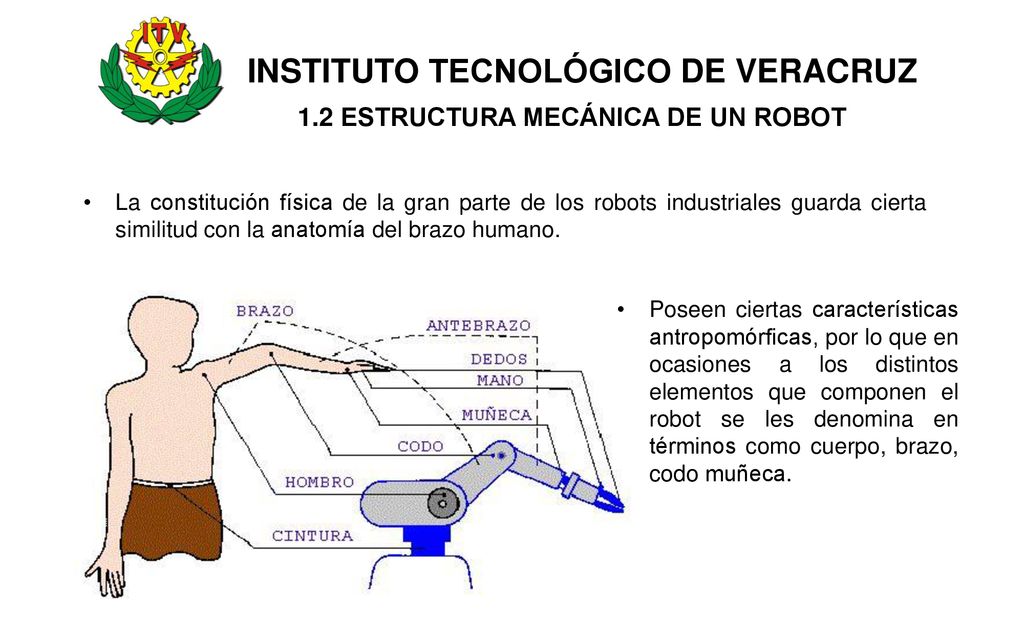 INSTITUTO TECNOLÓGICO DE VERACRUZ 1.2 ESTRUCTURA MECÁNICA DE UN ROBOT